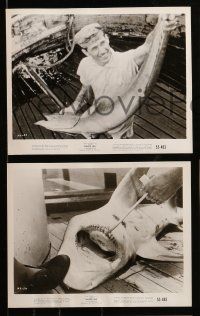 8d344 NAKED SEA 13 8x10 stills '55 cool images of fishermen at sea catching big fish & sharks!