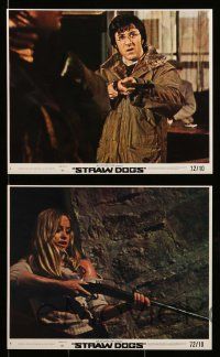 8d110 STRAW DOGS 8 8x10 mini LCs '72 Dustin Hoffman, Susan George, directed by Sam Peckinpah!