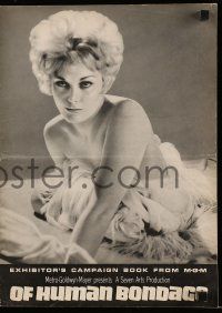 8h683 OF HUMAN BONDAGE pressbook '64 super sexy Kim Novak can't help being what she is!