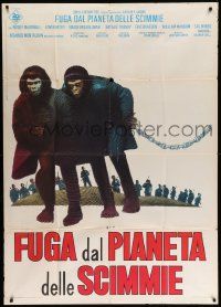 8j638 ESCAPE FROM THE PLANET OF THE APES Italian 1p '71 different image of chained primates!
