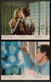 8k408 TATTOO 8 color 11x14 stills '81 Bruce Dern, every great love leaves its mark, sexy images!
