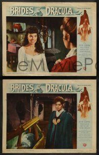 8k532 BRIDES OF DRACULA 6 LCs '60 Terence Fisher, Hammer horror, Peter Cushing, great images!