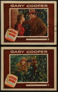 8k083 DISTANT DRUMS 8 LCs '51 Gary Cooper in the Florida Everglades, directed by Raoul Walsh!