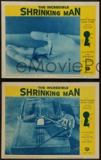 8k161 INCREDIBLE SHRINKING MAN 8 LCs R64 Jack Arnold, Grant Williams, cool special effects images!