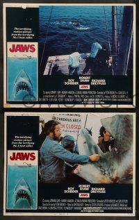 8k685 JAWS 4 LCs '75 Roy Scheider, Robert Shaw, Richard Dreyfuss, Spielberg's shark classic!