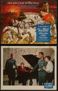 8k219 MIRACLE OF THE WHITE STALLIONS 8 LCs '63 Walt Disney, Robert Taylor, Lipizzaners!