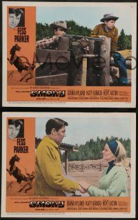 8k354 SMOKY 8 LCs '66 Diana Hyland, Fess Parker tames wild outlaw mustang!