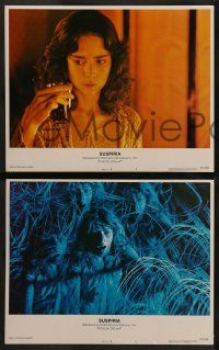 8k401 SUSPIRIA 8 LCs '77 classic Dario Argento horror, scared Jessica Harper!