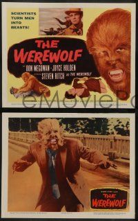 8k465 WEREWOLF 8 LCs '56 Steven Ritch as the wolf-man, scientists turn men into beasts!