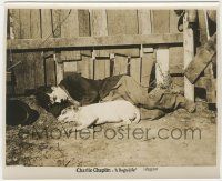 8r258 DOG'S LIFE 8x10 still R20s close up of Charlie Chaplin laying on ground with dog by fence!