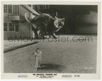 8r463 INCREDIBLE SHRINKING MAN 8x10.25 still '57 special effects image of tiny man & giant cat!