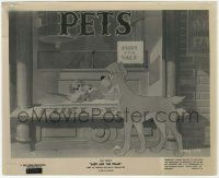 8r553 LADY & THE TRAMP 8x10 still '55 happy Tramp looks at pups for sale in pet store window!