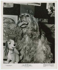 8r555 LADY & THE TRAMP candid 8.25x10 still '55 the actual Cocker Spaniel that modeled for Lady!