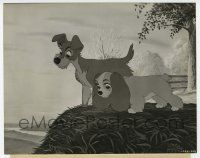 8r551 LADY & THE TRAMP 7.25x9 still '55 the pedigreed female loves a dog who wears no man's collar!