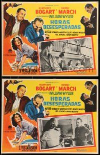 8t246 DESPERATE HOURS 8 Mexican LCs '55 Humphrey Bogart, Fredric March, William Wyler