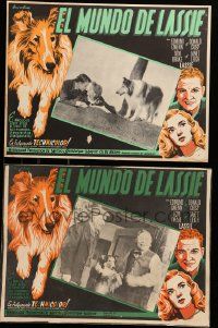 8t285 HILLS OF HOME 2 Mexican LCs '48 Lassie the famous dog shown in both scenes + border art!