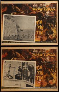 8t289 LAW OF THE WILD 2 Mexican LCs R50s both scenes show German Shepherd hero Rin Tin Tin!