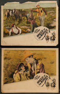 8w846 BREED OF THE BORDER 2 LCs '24 great cowboy western images of Lefty Flynn and Dorothy Dwan!