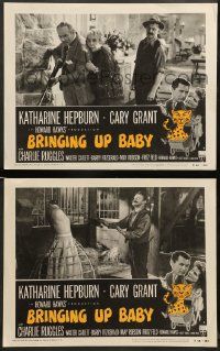 8w847 BRINGING UP BABY 2 LCs R55 Katharine Hepburn, Cary Grant & leopard, Howard Hawks classic!