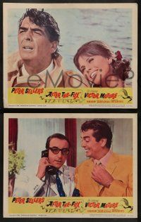 8w031 AFTER THE FOX 8 LCs '66 De Sica's Caccia alla Volpe, Peter Sellers, Victor Mature!