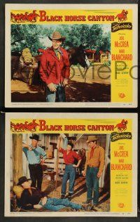 8w494 BLACK HORSE CANYON 6 LCs '54 Joel McCrea, Mari Blanchard, the outlaw stallion!