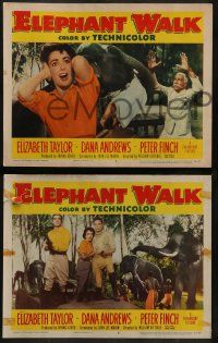 8w426 ELEPHANT WALK 7 LCs '54 Elizabeth Taylor w/ Dana Andrews and lots of pachyderms!