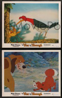 8w658 FOX & THE HOUND 4 LCs '81 two friends who didn't know they were supposed to be enemies!