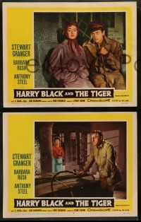 8w753 HARRY BLACK & THE TIGER 3 LCs '58 hunter Stewart Granger, Barbara Rush, Anthony Steel