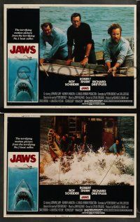 8w590 JAWS 5 LCs '75 Roy Scheider, Robert Shaw, Richard Dreyfuss, Gary, Spielberg's shark classic!