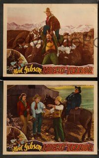 8w775 LUCKY TERROR 3 LCs '36 western cowboy Hoot Gibson, gorgeous Lona Andre, Robert McKenzie!