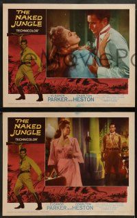 8w262 NAKED JUNGLE 8 LCs R60 Charlton Heston & Eleanor Parker, produced by George Pal!