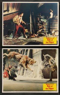 8w330 SINBAD & THE EYE OF THE TIGER 8 LCs '77 cool special fx image of sabretooth tiger & monster!