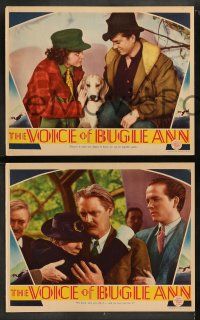 8w711 VOICE OF BUGLE ANN 4 LCs '36 Maureen O'Sullivan, Lionel Barrymore, Eric Linden & cute dog!