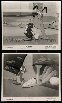 8x909 BONE BANDIT 2 8x10 stills '48 Walt Disney, great images of Pluto and wacky gopher thief!
