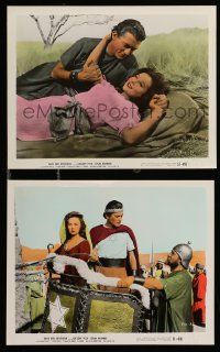 8x181 DAVID & BATHSHEBA 2 color 8x10 stills '51 great images of Gregory Peck, Susan Hayward!