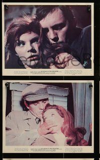 8x089 COLLECTOR 6 color 8x10 stills '65 great images of Terence Stamp & sexy Samantha Eggar!