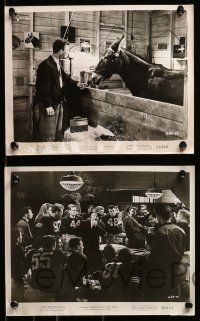 8x316 FRANCIS GOES TO WEST POINT 11 8x10 stills '52 Donald O'Connor & wacky talking mule!