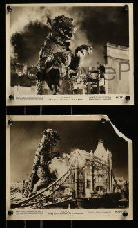 8x562 GORGO 6 8x10 stills '61 Bill Travers, three with creature fx, science fiction horror!