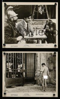 8x240 KING OF HEARTS 16 8x10 stills '67 De Broca's Le Roi de coeur, Bates, Genevieve Bujold