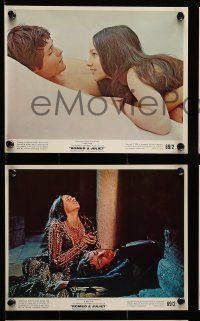 8x135 ROMEO & JULIET 5 color 8x10 stills '69 Franco Zeffirelli, Leonard Whiting & Olivia Hussey!