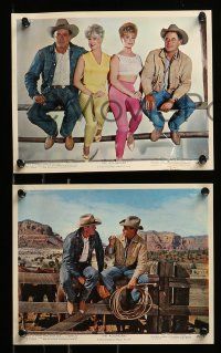 8x109 ROUNDERS 6 color 8x10 stills '65 Glenn Ford, Henry Fonda, sexy Sue Ane Langdon & Holiday!