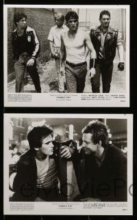 8x263 RUMBLE FISH 14 8x10 stills '83 Francis Ford Coppola, Matt Dillon, Mickey Rourke, Lane!