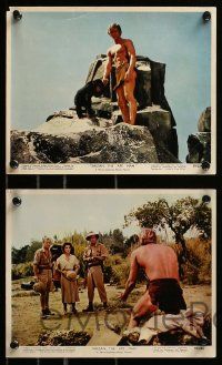 8x118 TARZAN THE APE MAN 6 color 8x10 stills '59 Edgar Rice Burroughs, Denny Miller, Barnes