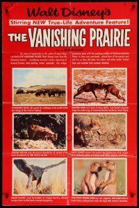 8y901 VANISHING PRAIRIE style B 1sh '54 Disney True-Life Adventure, cool images of wild animals!