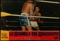 9j440 SQUARE JUNGLE set of 2 Italian 19x27 pbustas R63 boxing Tony Curtis fighting in the ring!