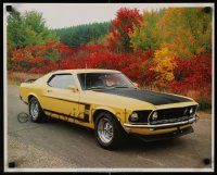 9k551 FORD MUSTANG 16x20 special '86 cool image of the Boss 302 model, trees during Fall!