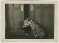 9m121 BILLY WEST 7.25x9.75 still '10s Charlie Chaplin Tramp imitator caught in door licked by dog!