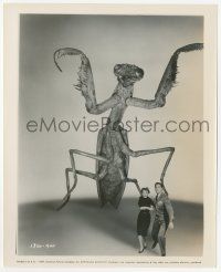 9m224 DEADLY MANTIS 8.25x10 still '57 best FX image of Talton & Hopper running from the monster!
