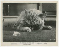 9m397 INCREDIBLE SHRINKING MAN 8x10.25 still '57 FX image of Grant Williams fighting off giant cat!