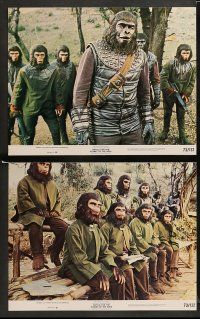 9r080 BATTLE FOR THE PLANET OF THE APES 8 color 11x14 stills '73 war between apes & humans!